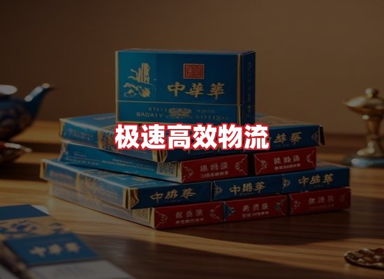专业团队